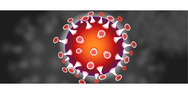 香港單向通關最新消息今天，冀港深發揮“雙引擎”