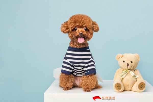 疫情期間香港商品如何轉(zhuǎn)運到云南德宏呢？